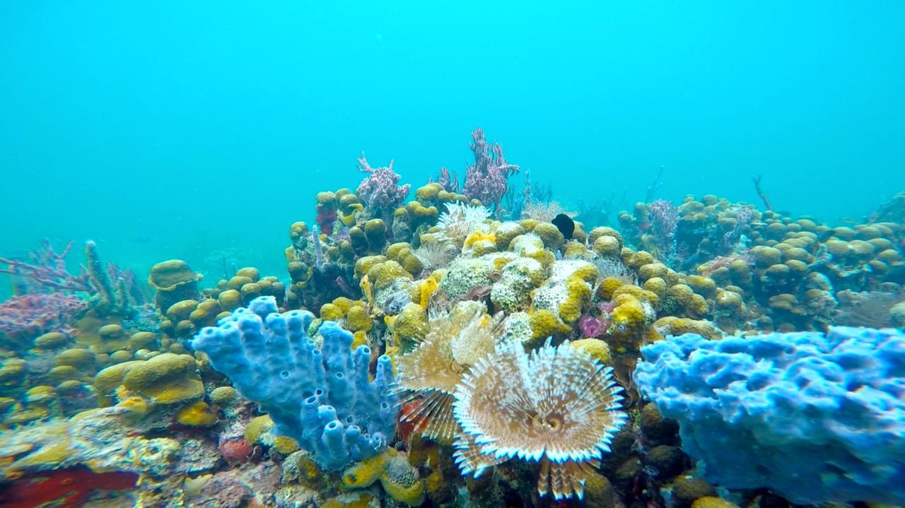 בסטימנטוס Azul Paradise מראה חיצוני תמונה